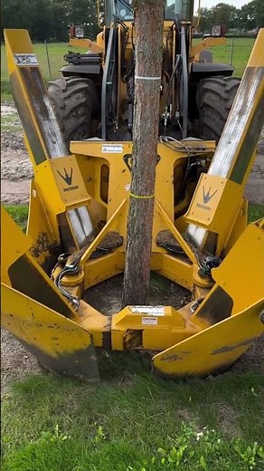 Moving a Tree With Zero Damage!