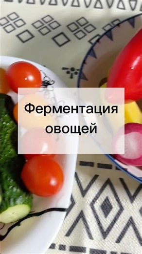 Fermented vegetables 🥬🫑🥒