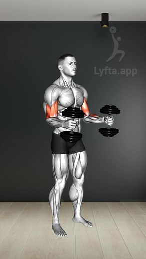 💪 Ultimate Arm Blast: 8 Killer Moves for Massive Biceps & Triceps 💥🔥 🚀 Beginner's Blueprint for Massive Arms: 1. Start Simple: 2 bicep & 2 tricep exercises. 2. Sets & Reps: 2-3 sets, 8-12 reps each. 3. Rest Right: 60-90 secs between sets. 4. Progress Smartly: Increase gradually. 5. Fuel Up: Balanced diet & hydration. 6. Consistency Wins: Regular workouts = Big gains! 🔑 Master the basics, watch your arms grow! 🌟🏋️‍♂️ | Workout Inspiration