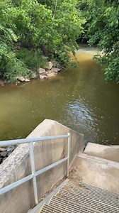 Watch yourself. #turtleclub #snappingturtle #creekstomping #dinosaur #massive #creekfishing #turtlesoup | Zachary Farmer