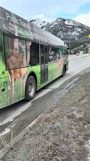 Roam Transit Proterra Bus. Route 12.