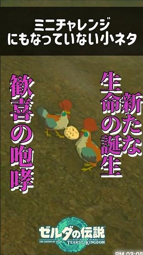 ティアキン ミナッカレ馬宿の小ネタ An obscure easter egg in The Legend of Zelda: Tears of the Kingdom#ゼルダの伝説 #zelda