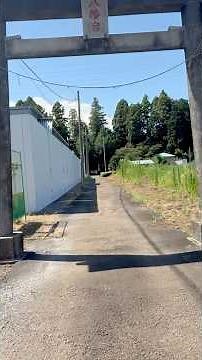 【八幡神社】330年以上前に建てられた神社⛩#shorts