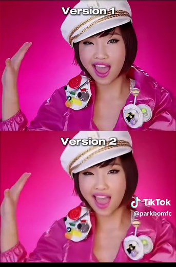 2ne1 and BIGBANG Concert Highlights ft. YG Family