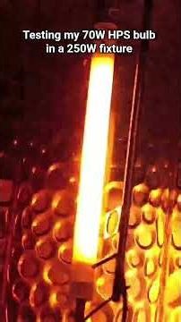 Testing my 70W HPS bulb in a 250W fixture