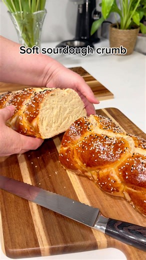 Golden Sourdough Challah. The Final Bake 🤍 Fresh sourdough challah straight from the oven 🤍 Egg wash, sesame seeds, and slow fermentation create a beautiful golden crust and a soft, fluffy crumb inside. Have you ever tried sourdough challah? #sourdough #sourdoughchallah #breadbaking #homebaking #artisanbread