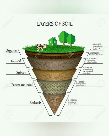 The layers of soil. # geographical concept # Educational video