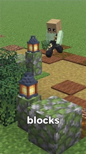 Minecraft beautiful spruce path design #minecraft #howtobuild