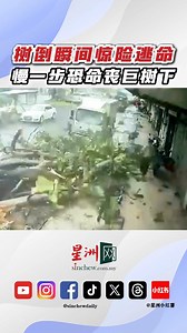 387K views · 2.8K reactions | 本地歌手黄一飞的二哥与堂弟日前在巴生中路遇上惊险一刻，两人在雨后准备驾车外出时，一棵巨树突然倒下，险些酿成意外。 #星洲日报 #sinchew 新闻链接：https://www.sinchew.com.my/?p=7060901 最新最热新闻，关注《星洲日报》Whatsapp频道： https://bit.ly/SinchewWhatsapp | 马来西亚星洲日报 Malaysia Sin Chew Daily | Facebook