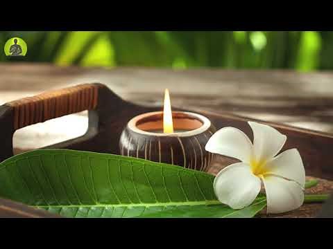"Let Go Of All Negative Energy" Meditation Music, The Deepest Healing Music, Relax Mind Body