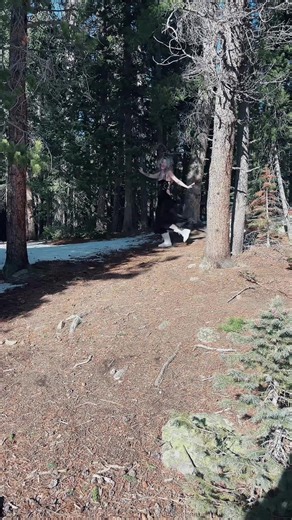 Just playing in the forest😇 #ghostlyeve #eeveelf #evetatertot #ghotlyeve