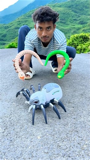 3 Ta Remote Control Makadee and Rc Snake Green& Orange