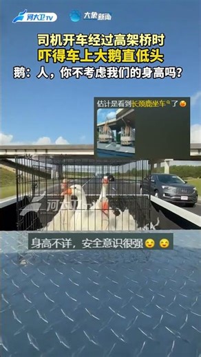 司机开车经过高架桥时