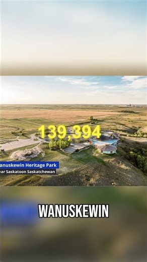 200,000 Artifacts from One Site