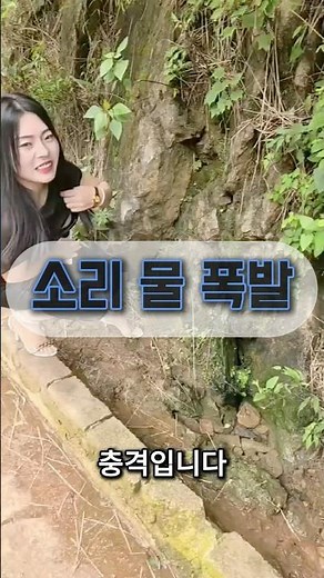 소리 지르면 물이 솟는다고? 😱 #funny #animals #caughtoncamera #talwiinder