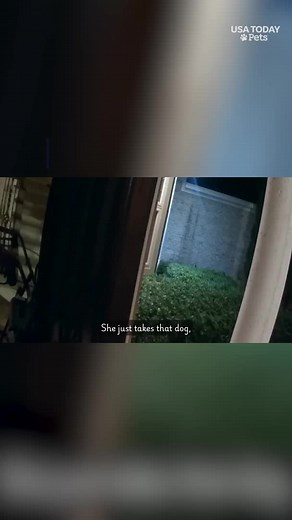 "You're such a good boy. Grandma loves you." Watch the moment a loyal ... | eeyore
