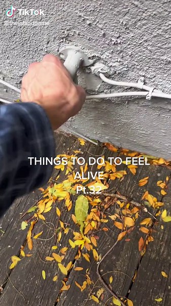 Engaging Outdoor Activities to Feel Alive