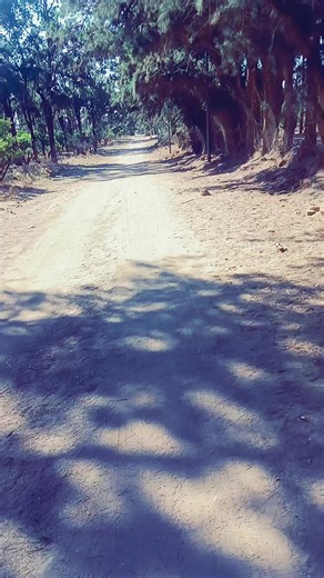 Vidéos de Amara Ahmed (@amara.ahmed59) avec son original - 𝒀𝑨𝑺𝑴𝑰𝑵 𝑻𝑹𝑨𝑽𝑬𝑳𝑺