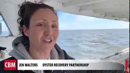 Fishing for crab pots.. It's not the typical catch for watermen, but it's how they're helping clean up an area of the Bay with old and abandoned pots ahead of the crab season. Baltimore County Government Oyster Recovery Partnership Marine Trades Association of Baltimore County Support Maryland Watermen | Chesapeake Bay Magazine