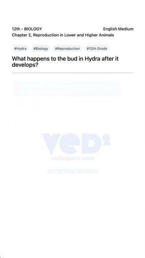 Hydra Bud Development Explained 12th Biology Reproduction