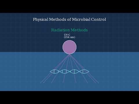 Microbial Control Methods Explained