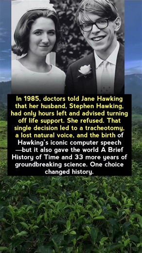 The Moment Jane Hawking Refused to Let Stephen Hawking Die