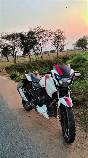 🥀TVS 😍 Apache RTR 160cc my dream bike coloured white bike rider🏍️💕❤️‍🔥✈️🎶💥 Apache loves #shorts