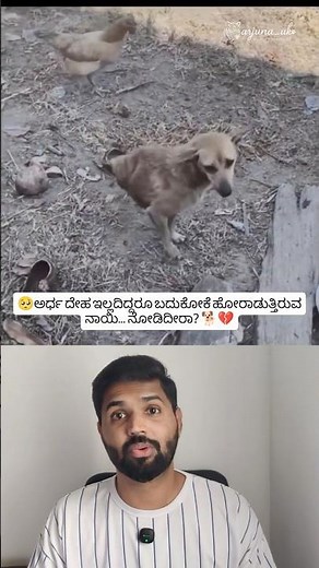 Dog Lives Without Hind Legs 🐕💔 | Still Walking and Fighting Life #shorts #dog #wildlife