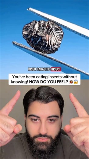 You’re eating insects every day and you didn’t know!