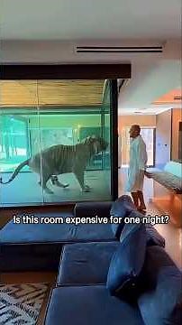 Is this room expensive for one night?