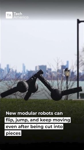 New Modular Robots Keep Moving Even After Being Cut Apart