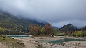 Lake, Trees, Forest, Woods