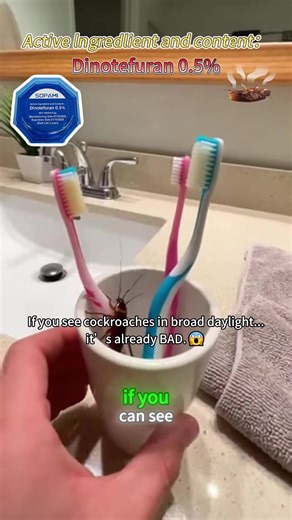 Effective Cockroach Pest Control Tips for Your Home