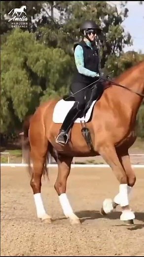 Three Steps to Canter Pirouettes