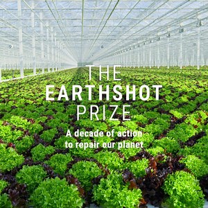 The next 10 years are critical to saving our planet. That’s why we’re proud to be a Global Alliance Partner of the Earthshot Prize - open to everyone, wherever you are in the world 🙌🌎nominations open 1 November - follow the link below to find out how to enter 👇 https://www.wwf.org.uk/earthshot-prize #EarthshotPrize #SaveOurPlanet | WWF