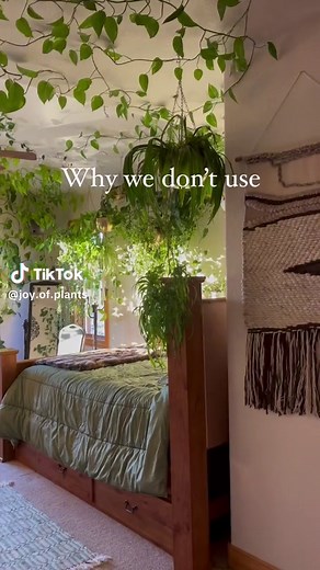 Maximizing Humidity for High-Humidity Plants: Tips and Tricks