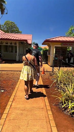 Explore it all with Go Tours Hawaii