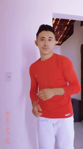 Understanding Hand Gestures and Body Movements