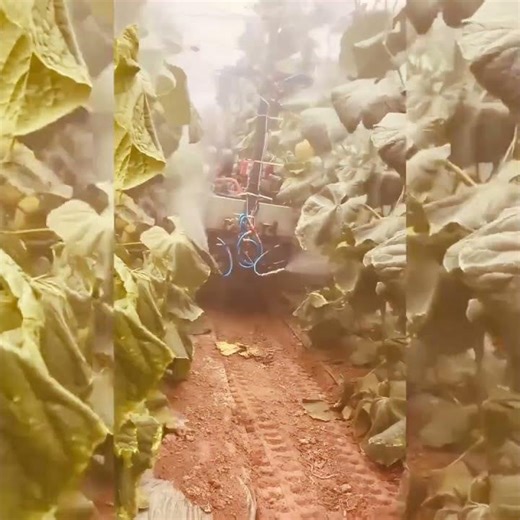 Automatic Sprayer Machine