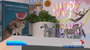 Alberta sees another record year of child abuse cases; 22% rise in 2018 | Globalnews.ca