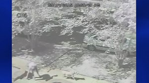 Poop on stoop causing a stink in Garden District