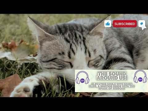 Gentle Sleeping Sounds for Restful Relaxation