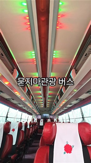 묻지마관광 무지개조명
