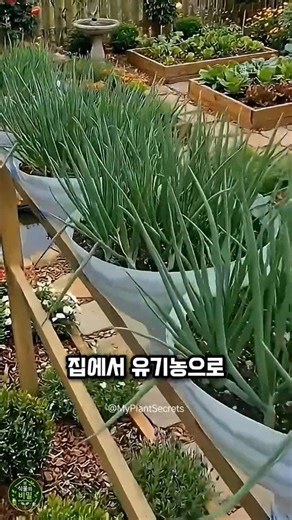 플라스틱 통으로 유기농 텃밭 만들기 #식물키우기 #가드닝 #plants
