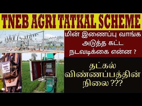 🔥TATKAL Scheme Electricity Connection NEXT STEP | Tatkal Application Status? Application Status #...