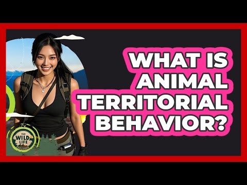 What Is Animal Territorial Behavior?