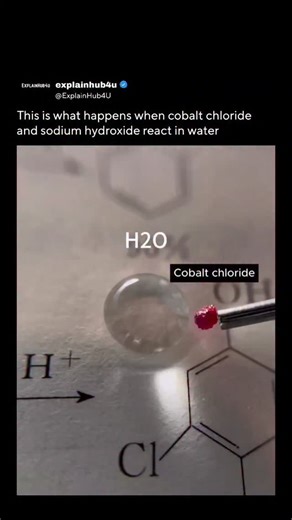 ExplainHub4U on Instagram: "When cobalt chloride and sodium hydroxide dissolve in water they interact to form a chemical reaction producing a color change and precipitate as ions rearrange the cobalt ions react with hydroxide ions generating cobalt hydroxide a solid compound that settles out of solution while altering the solution’s appearance noticeably The reaction demonstrates the principles of double displacement where cations and anions exchange partners resulting in new compounds the vivid