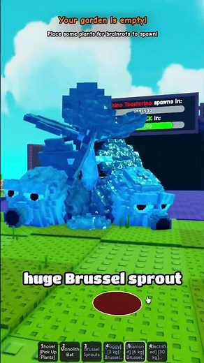 Can I Defeat The Poco Tempo As The Owner?