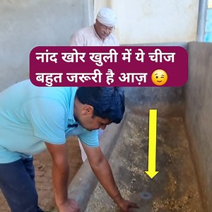 1.8M views · 30K reactions | पशुओं की नांद खोर खुरली में ये चीज जरूर लगाएं । बहुत होगा फायदा। बड़े गजब का जुगाड। #animals #farming #farminglife #farm #jugad #farmingguruji | Farming Guru Ji | Facebook