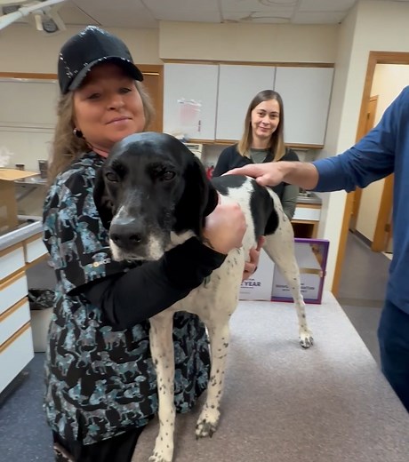 3.1K views · 46 reactions | ✨Introducing Bravecto® Quantum! One safe injection = 12 months of flea & tick protection for your dog! No monthly doses, no hassle, just year-round PEACE OF MIND! Call or stop in to learn more! #BravectoQuantum #NorthwoodsAnimalHospital #tickprevention #fleapreventionindogs | Northwoods Animal Hospital | Facebook